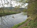 River at Garronhaugh